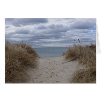 Deniseport beach cards