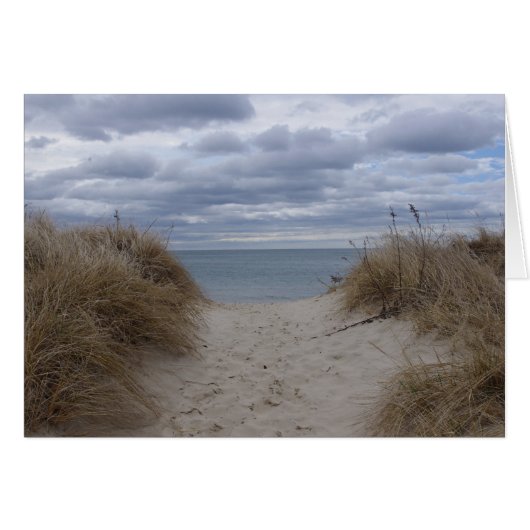 Deniseport beach cards (Front Horizontal)