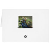 Dennis Miller Bunker's Wild Asters (Back Horizontal)