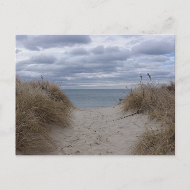 Dennis Port, MA Postcard (Front)