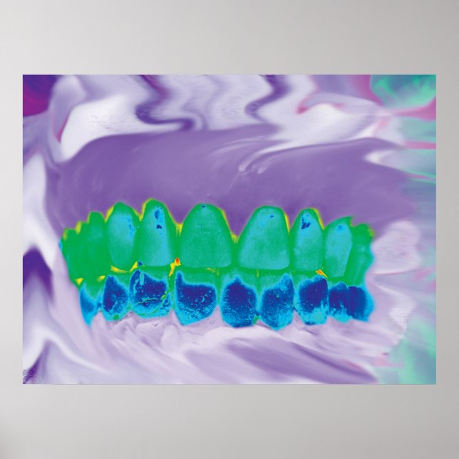 Dental anatomy featuring a colorful teeth model poster (Front)