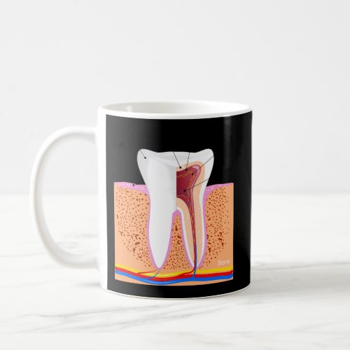Dental Anatomy For Normal Tooth Dentin Enamel Ging Coffee Mug
