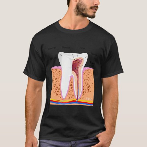Dental Anatomy For Normal Tooth Dentin Enamel Ging T_Shirt