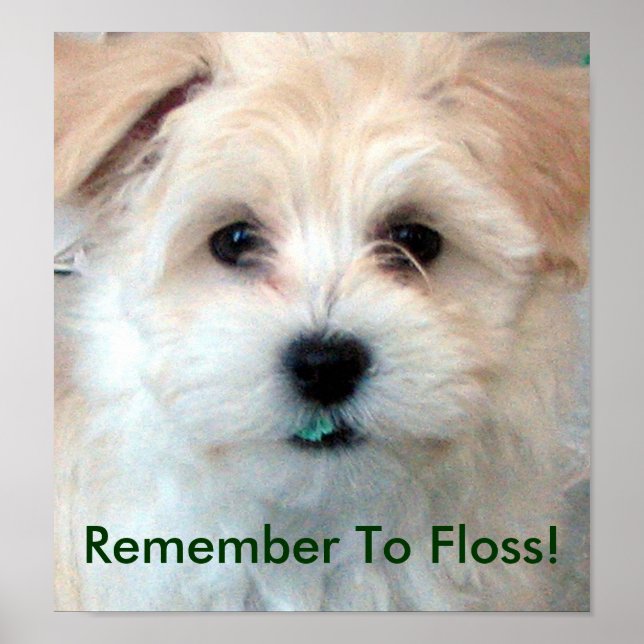 Dental Hygiene Floss Puppy Poster (Front)