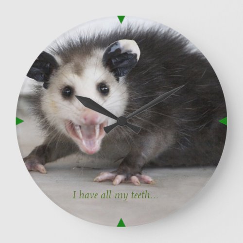 dental office funny opossum photo wall clock