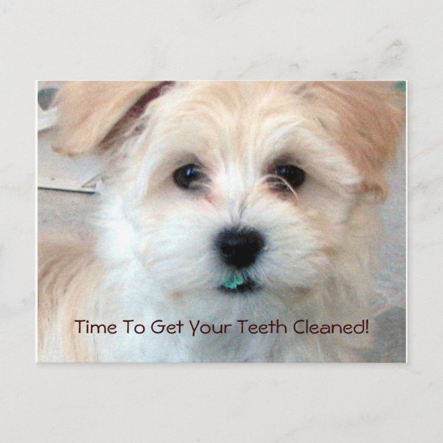 Dental Reminder Postcard (Front)