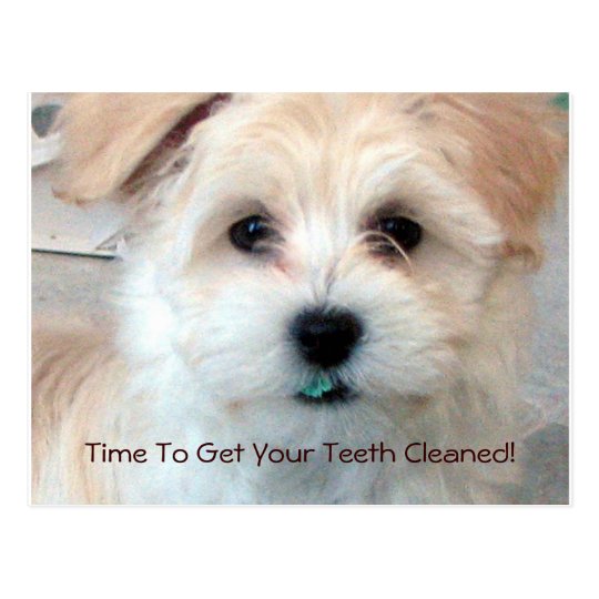 Dental Reminder Postcard