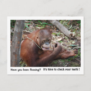 Dentist Appointment Reminder Postcard