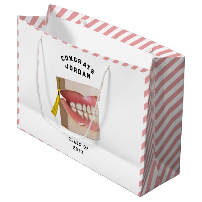 Dentist Dental School Graduation Large Gift Bag (Front Angled)