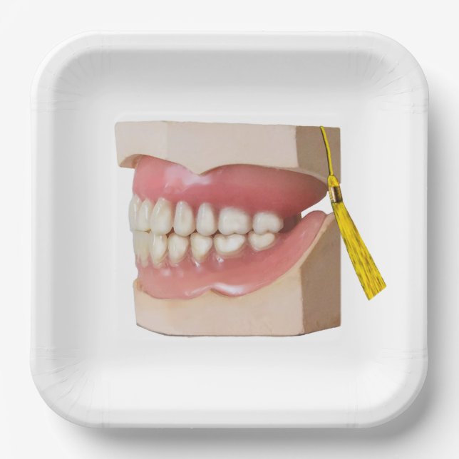 Dentist Dental School Graduation Party Paper Plates (Front)