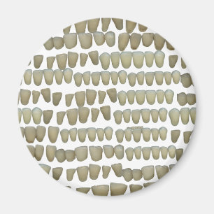 DENTIST DENTISTRY ORTHODONTICS ROTTEN TEETH MOUTH MAGNET