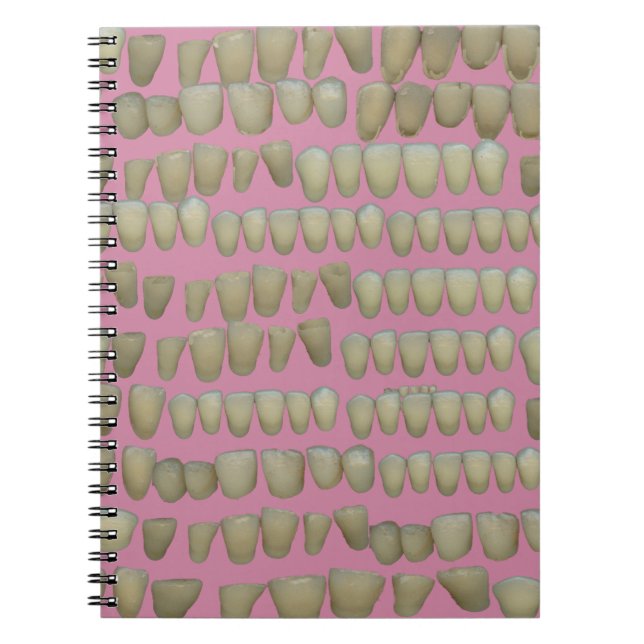 DENTIST DENTISTRY ORTHODONTICS ROTTEN TEETH MOUTH NOTEBOOK (Front)