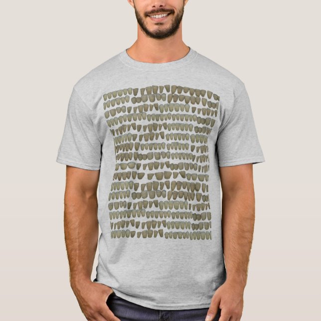DENTIST DENTISTRY ORTHODONTICS ROTTEN TEETH MOUTH T-Shirt (Front)