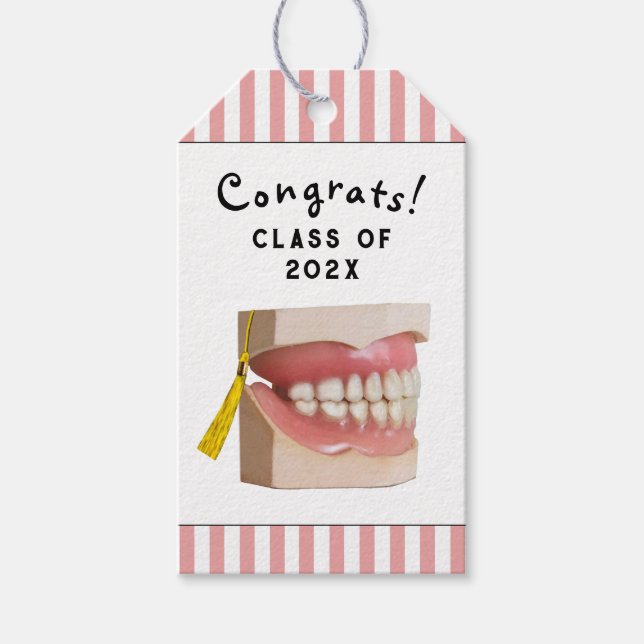 Dentist Graduation Party Gift Tags (Front)