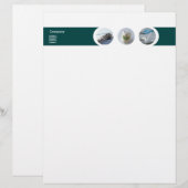 Dentist Letterhead (Front/Back)