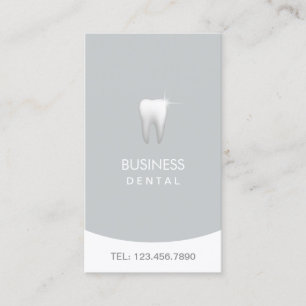 Dentist Modern Silver Dental Appointment Card