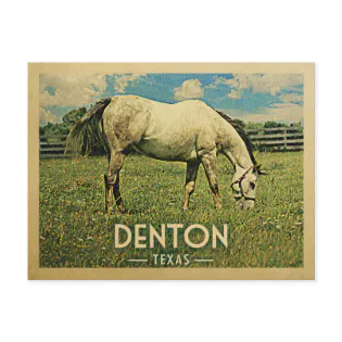 Denton Texas Horse Farm -Vintage Travel Postcard