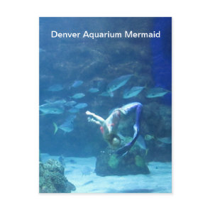 Denver Aquarium Mermaid Postcard
