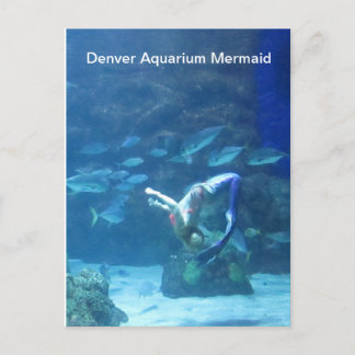 Denver Aquarium Mermaid Postcard