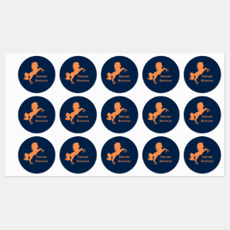 Denver Bronco Stickers