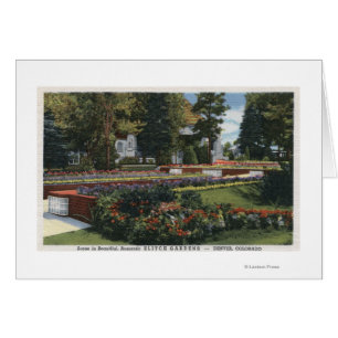 Denver, Colorado - View of Elitch Cards