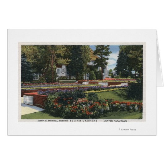 Denver, Colorado - View of Elitch Cards (Front Horizontal)