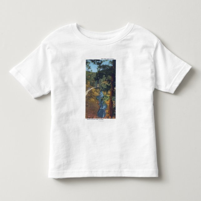 Denver Mountain Park, CO - Bear Creek Canyon Toddler T-shirt (Front)