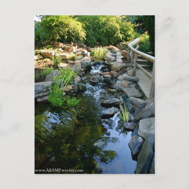 Denver postcard (Front)