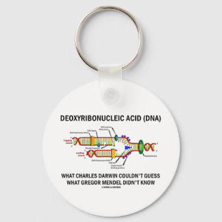 Deoxyribonucelic Acid (DNA) Mendel Darwin Keychain