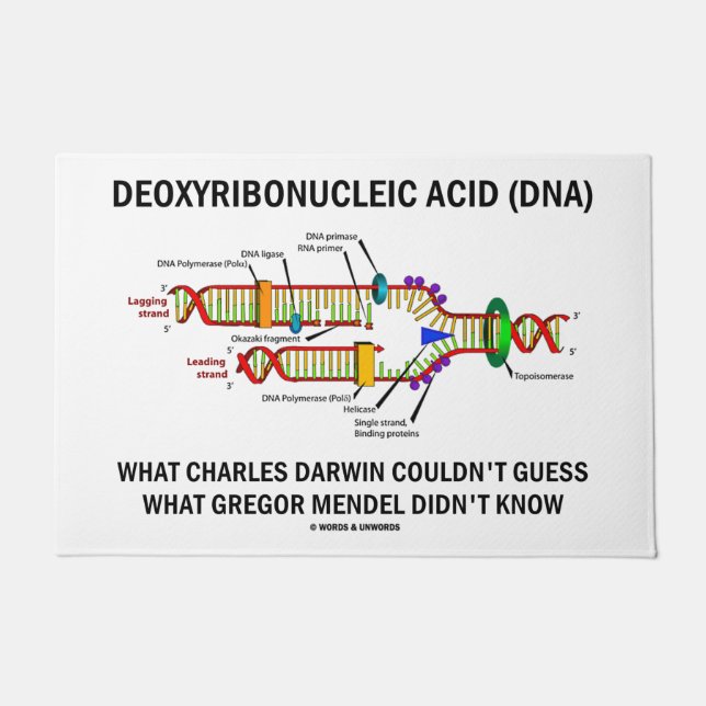 Deoxyribonucleic Acid DNA Darwin Mendel Geek Humor Doormat (Front)