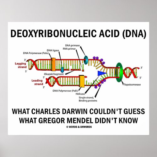 Deoxyribonucleic Acid (DNA) Darwin Mendel Saying Poster