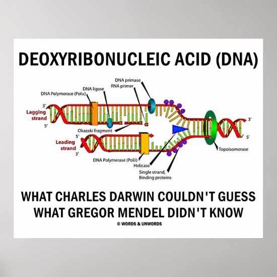 Deoxyribonucleic Acid (DNA) Darwin Mendel Saying Poster