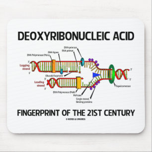 Deoxyribonucleic Acid Fingerprint Of 21st Century Mouse Pad
