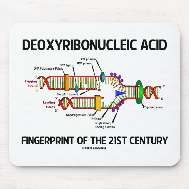 Deoxyribonucleic Acid Fingerprint Of 21st Century Mouse Pad (Front)