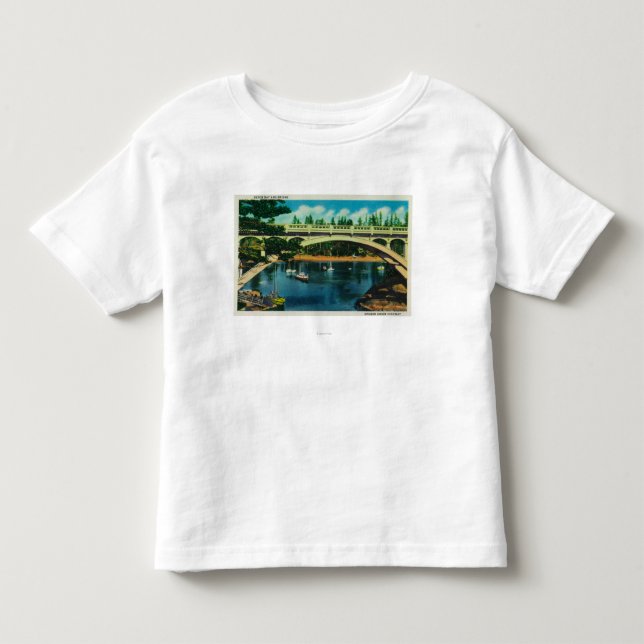 Depoe Bay and Bridge, OregonDepoe Bay, OR Toddler T-shirt (Front)