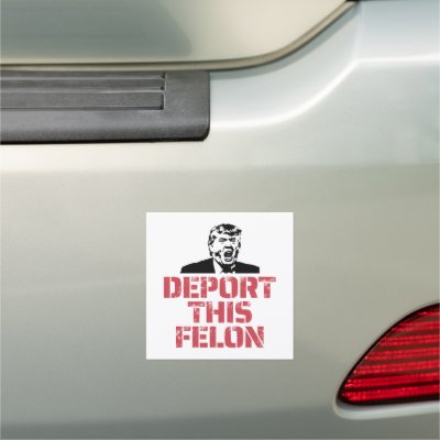 Deport This Felon Car Magnet