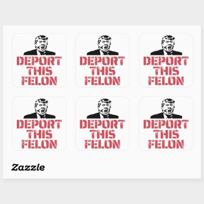 Deport This Felon Square Sticker