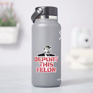 Deport This Felon Sticker