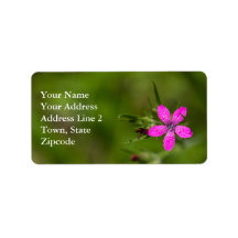 Deptford Pink Wildflower Floral Labels