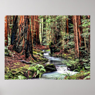 Depth 92 Bristle Lum Focus Poster