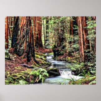 Depth 92 Bristle Lum Poster