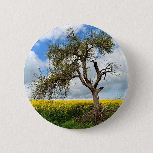 Der alte Baum Button (Front)