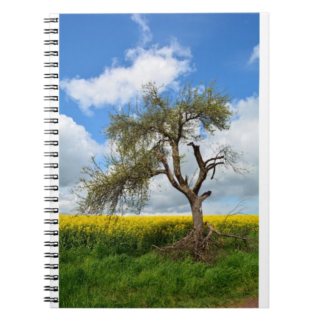 Der alte Baum Notebook (Front)