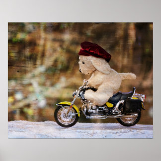 Der Biker Poster