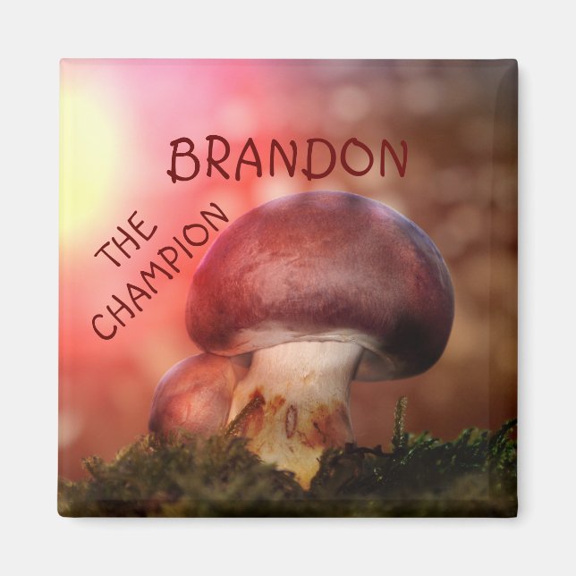 Der  Campion mit dem Champignon Magnet (Front)