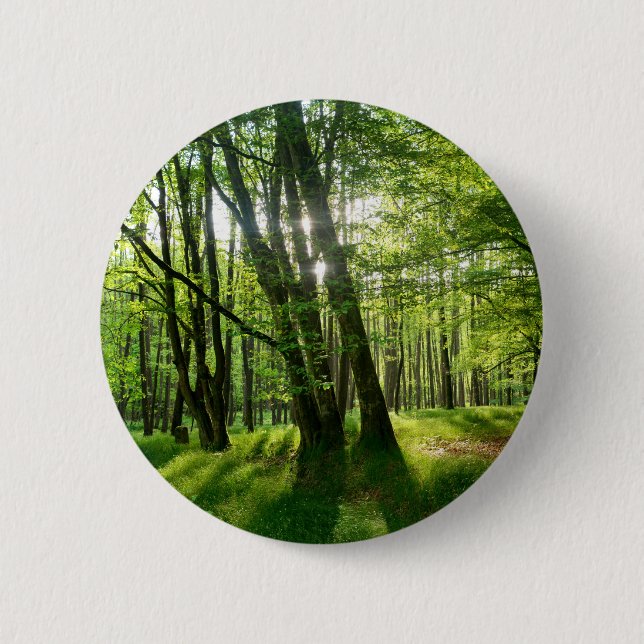 Der Wald im Frühling Button (Front)