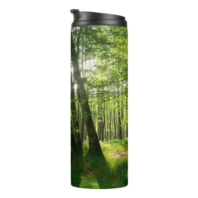 Der Wald im Frühling Thermal Tumbler (Rotated Right)