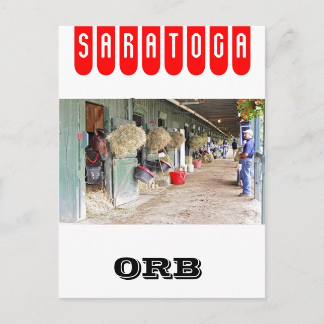 Derby winner "Orb" as a 2 yr. old Postcard (Front)