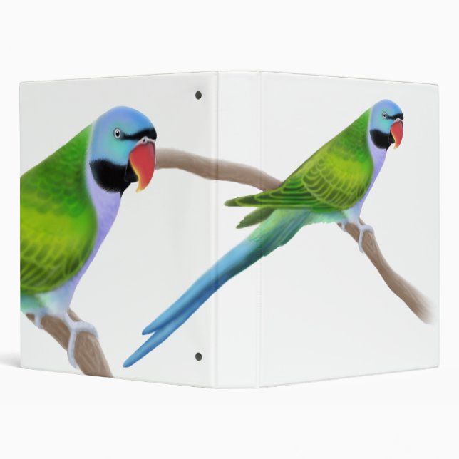Derbyan Parakeet Avery Binder (Background)