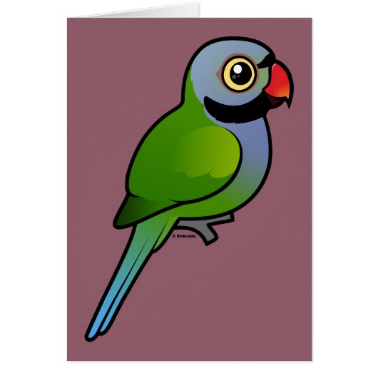 Derbyan Parakeet Cards (Front)